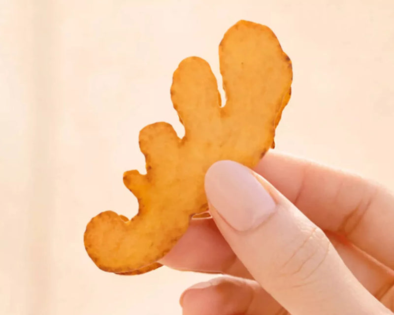Hand holding a single piece of dried ginger root against a soft peach background