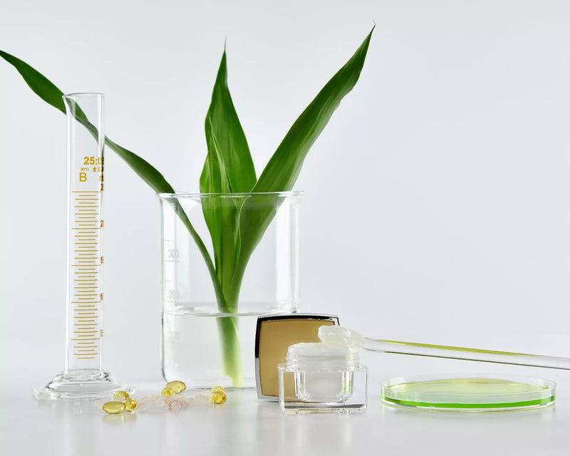 Green tropical plant in a glass cylinder beside a petri dish and lab equipment on a white surface