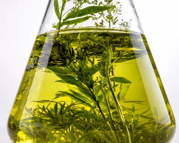 Can Rosemary Oil Actually Help With Hair Thinning? What Science Says