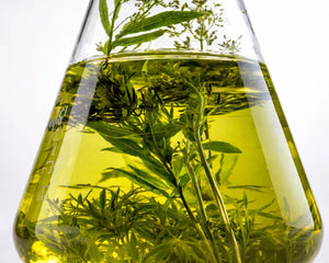 Can Rosemary Oil Actually Help With Hair Thinning? What Science Says