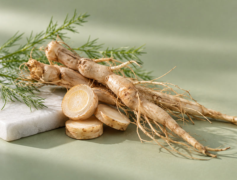 Asparagus Root