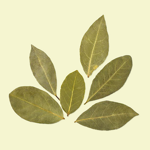Green Chiretta Leaf Extract