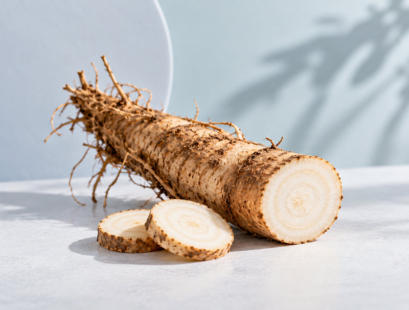 Chicory Root