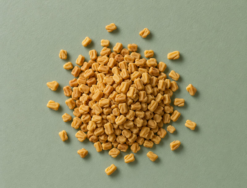 Fenugreek